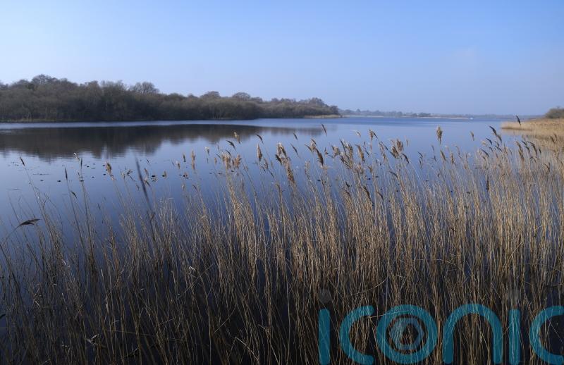 Green finance standards launched to set bar for nature investments