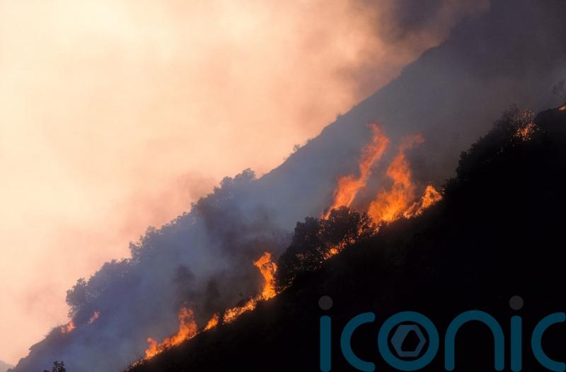 Teams of firefighters tackle blaze in Mourne Mountains