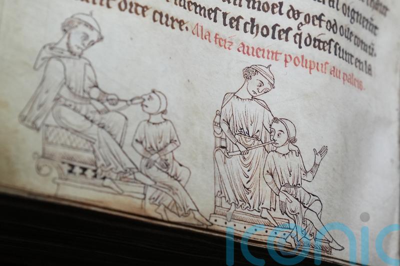 Weasel testicles infertility cure features in exhibition on medieval medicine