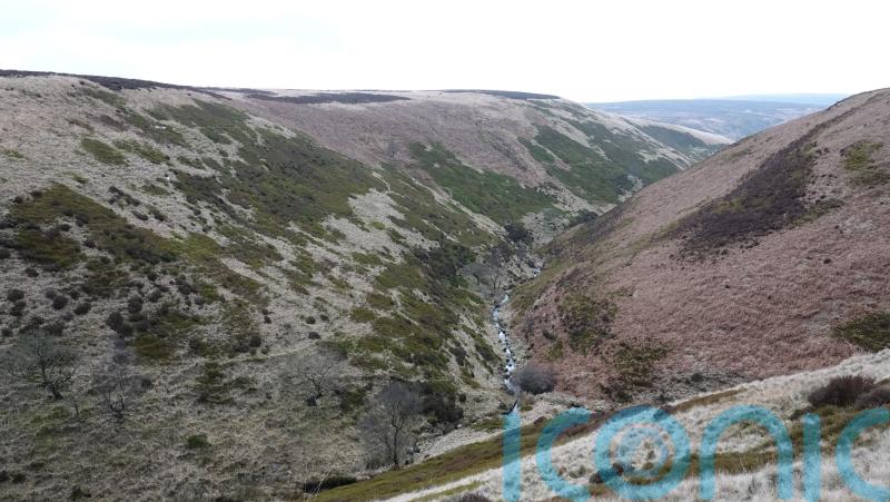 £5m project to deliver large-scale nature boost across National Trust land