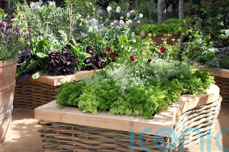 What you can do with just a metre of outdoor space