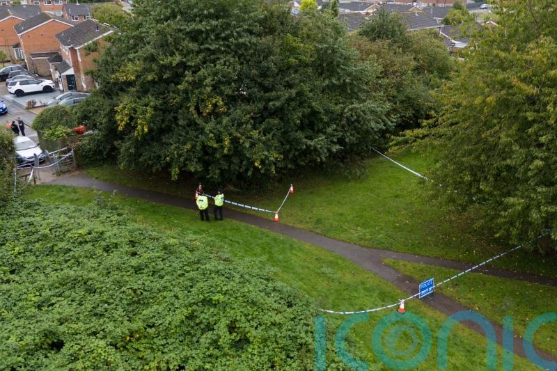 Teenager accused of man’s park murder launched ‘intense’ attack, court told