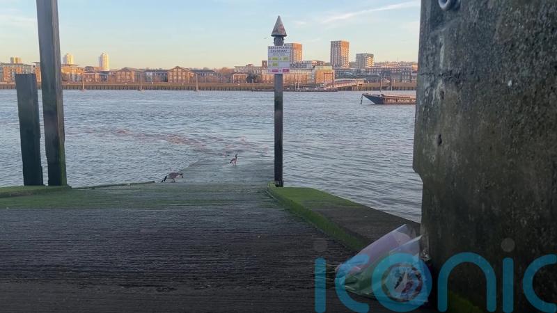 Girl missing in Thames named as search continues