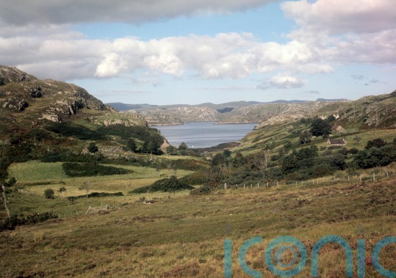 Wildlife body warns over progress on nature recovery
