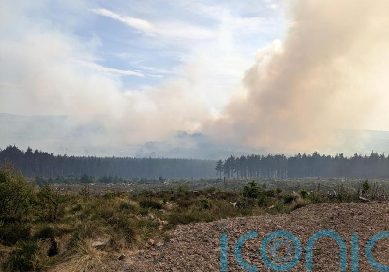 Crews battling large wildfire in Galloway Forest Park