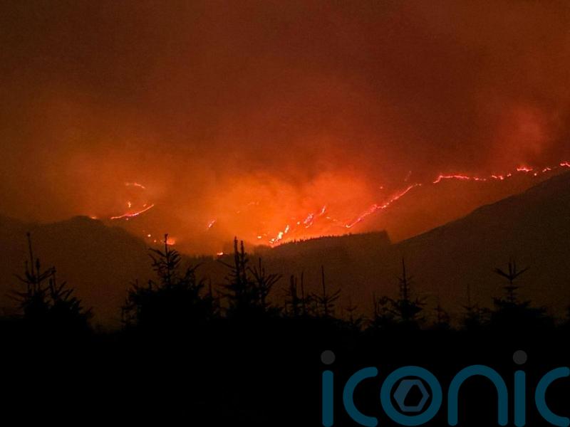Progress made in bringing Galloway wildfire under control