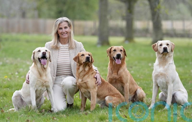 Duchess of Edinburgh ‘tempted to take puppy home’ on labrador club visit