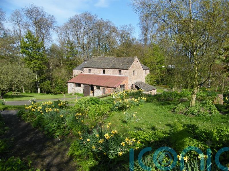 Historic mill back in action after anonymous £2.4m donation