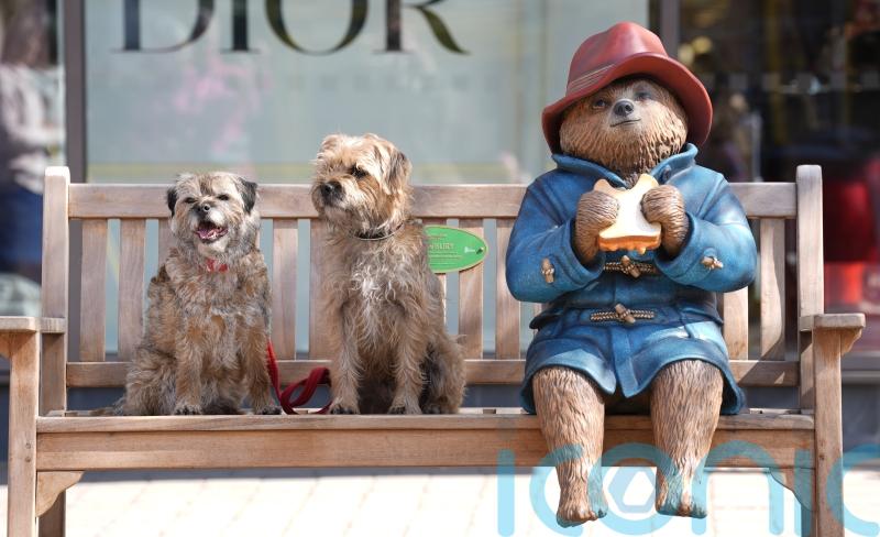 Vandalised Paddington Bear statue returns to town after being repaired