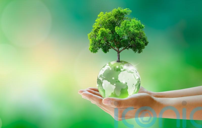 Sustainable upgrades for a greener home to salute World Earth Day