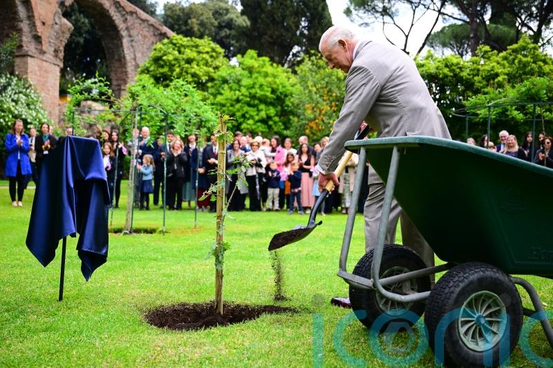 Charles jokes about living ‘long enough’ to see sapling grow during Italy visit