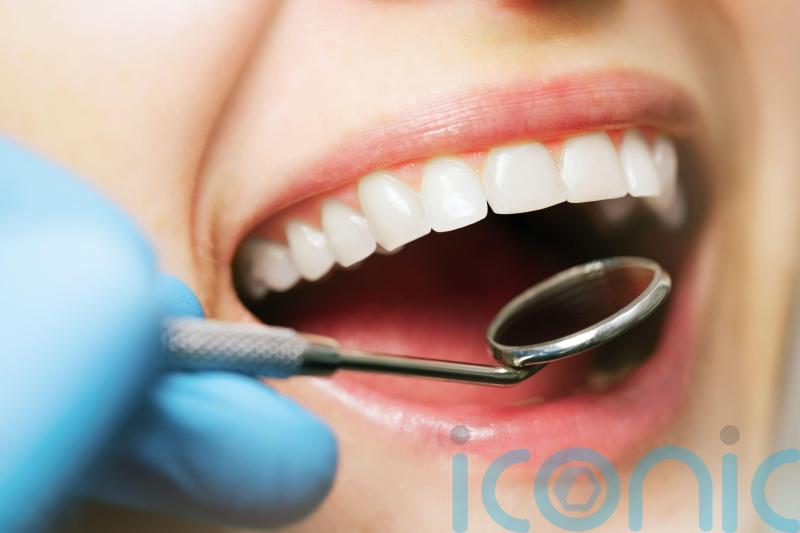 Scientists successfully grow teeth in a lab