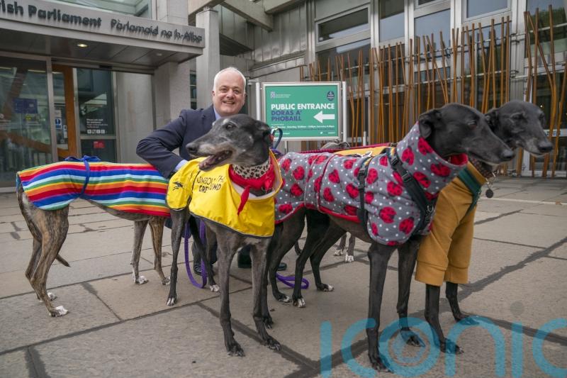 Animal charity backs Green’s bid to end greyhound racing in Scotland