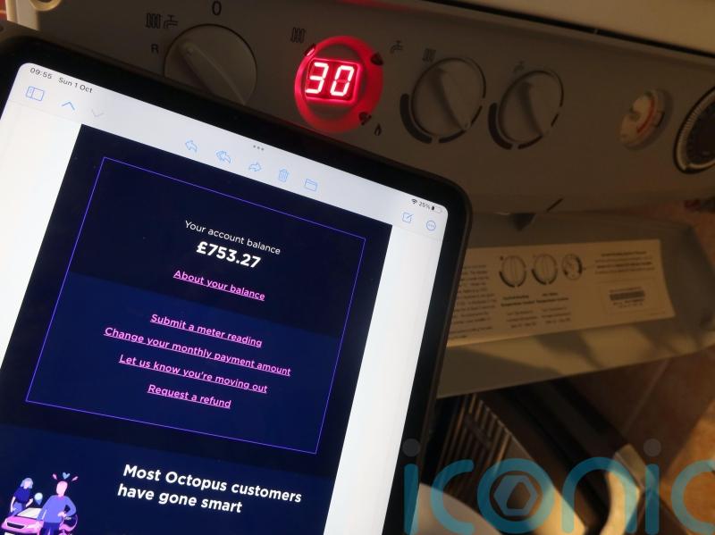 Watchdog partially upholds complaints about &lsquo;misleading&rsquo; Octopus Energy ads