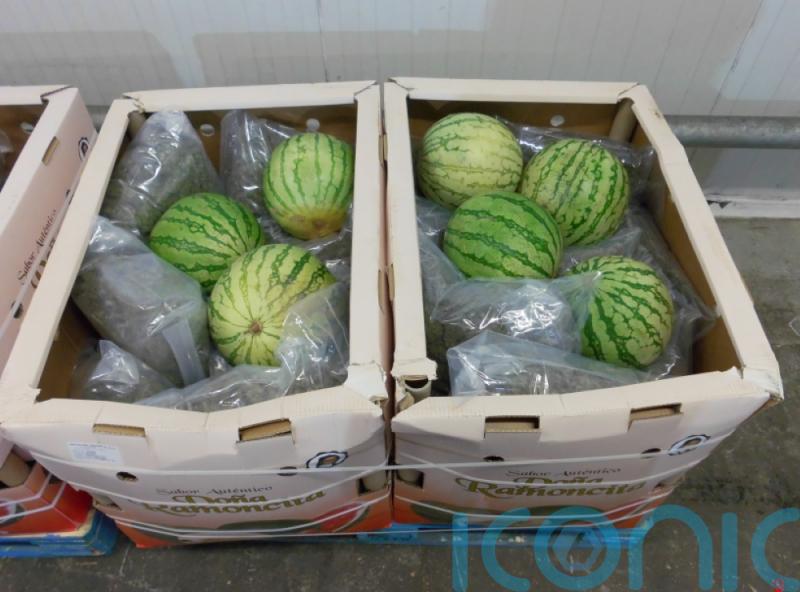 Pair jailed over bid to smuggle £1.5m of drugs into UK in crates of watermelons