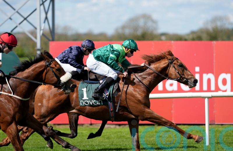 Whistlejacket made to battle for Committed prize