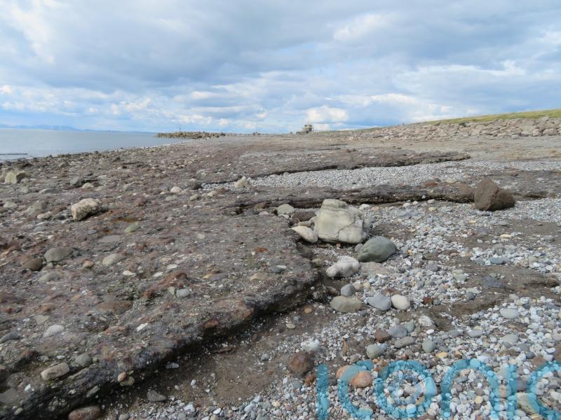 Industrial waste turning to rock in decades, research finds