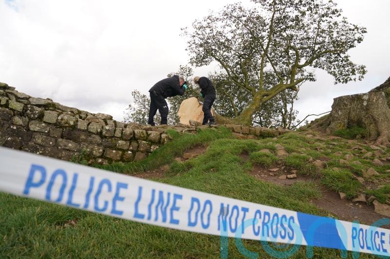 Sycamore Gap accused ‘revelled in news reports of what they had done’ to tree