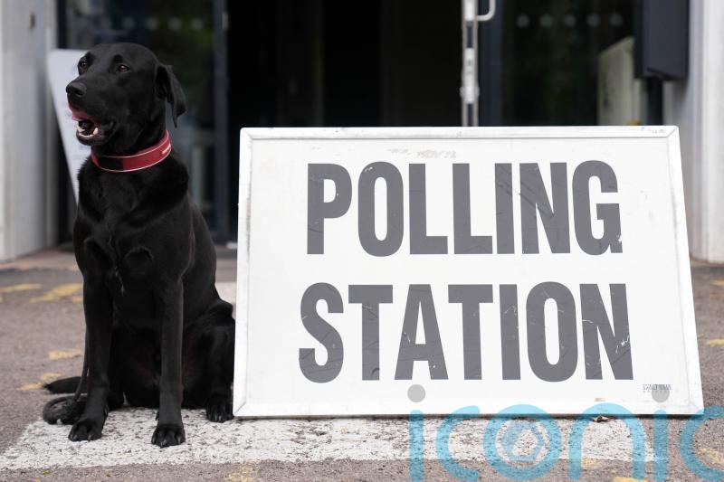 Estimated declaration times for May 1 local and mayoral elections