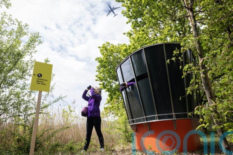 Airport installs bird hide designed to resemble air traffic control tower