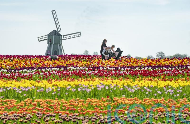 Temperatures to hit 30C &ndash; but heatwave ruled out