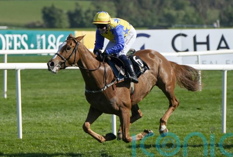 Bambino Fever further enhances outstanding bumper record