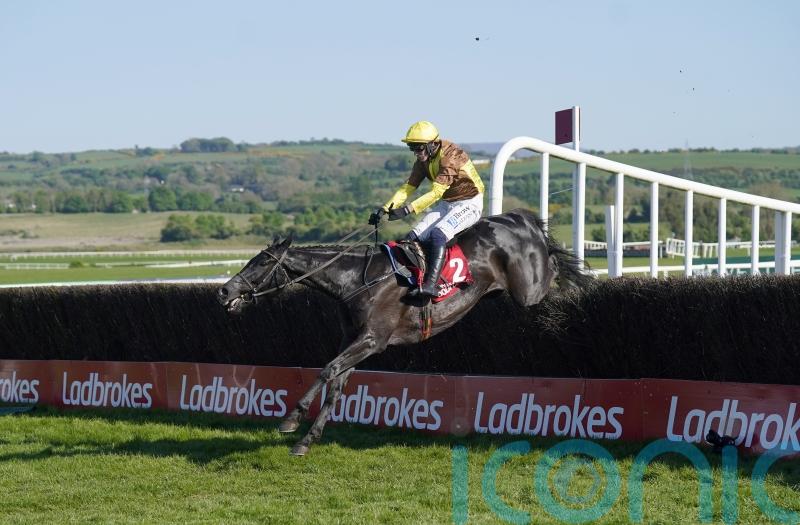 Galopin Des Champs strolls to Punchestown Gold