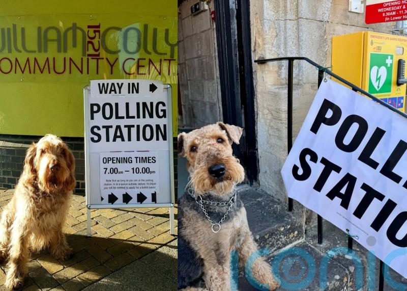 Dogs pose outside polling stations as owners urge voters to do ‘civic duty’