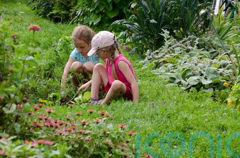 How to get children engaged in gardening