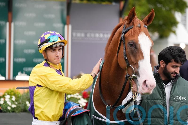 Scorthy Champ has Curragh plan after Newmarket disappointment