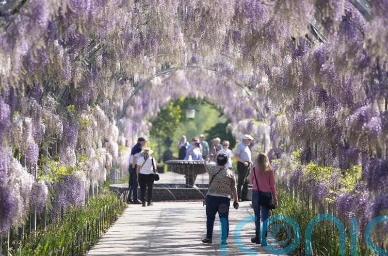 UK set for ‘classic’ spring weather, including frosty nights and warm days
