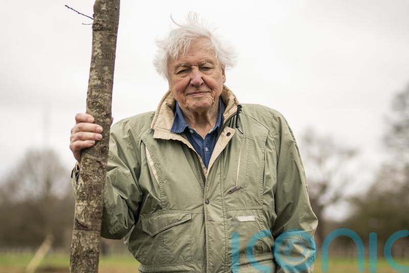 Broadcaster David Attenborough praised for ‘influence’ on his 99th birthday