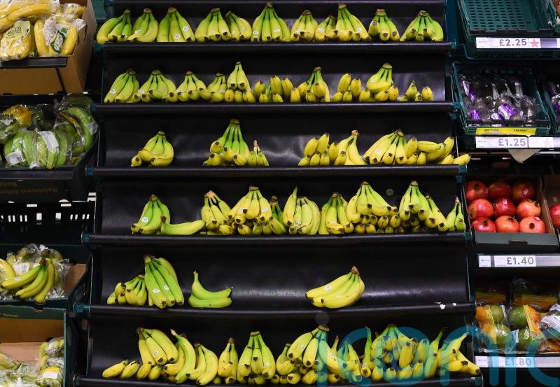 Bananas under threat as rising temperatures killing crops – report