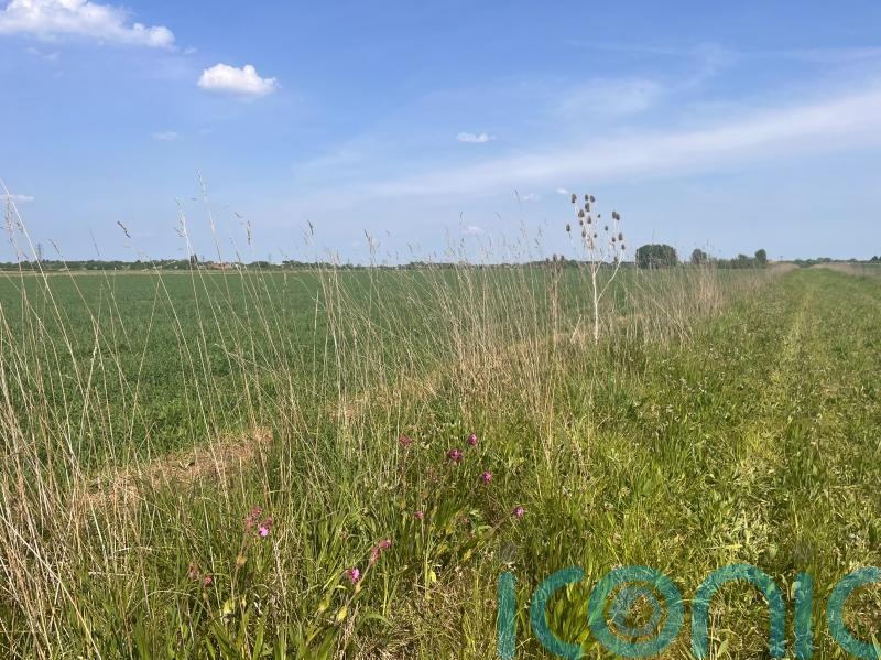 Around 3,000 farmers can apply for closed nature farming scheme after ‘error’