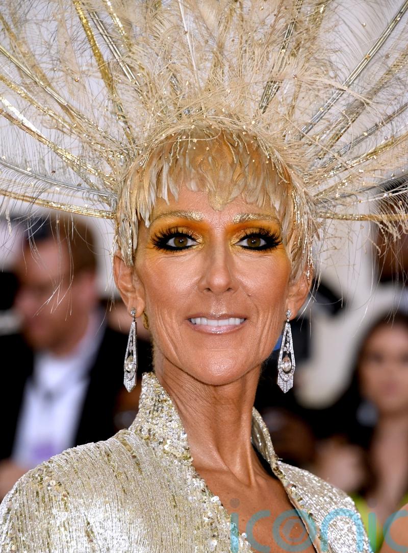 Eurovision organisers still hope Celine Dion might take to the stage