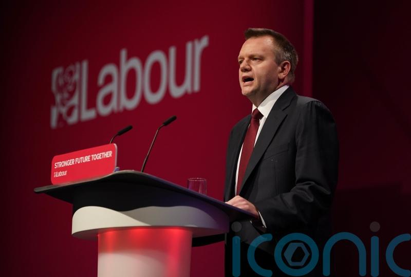 No plans to reintroduce freedom of movement or customs union, MPs told