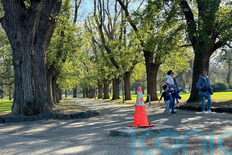 Captain Cook monument removed from Melbourne park after repeated vandalism