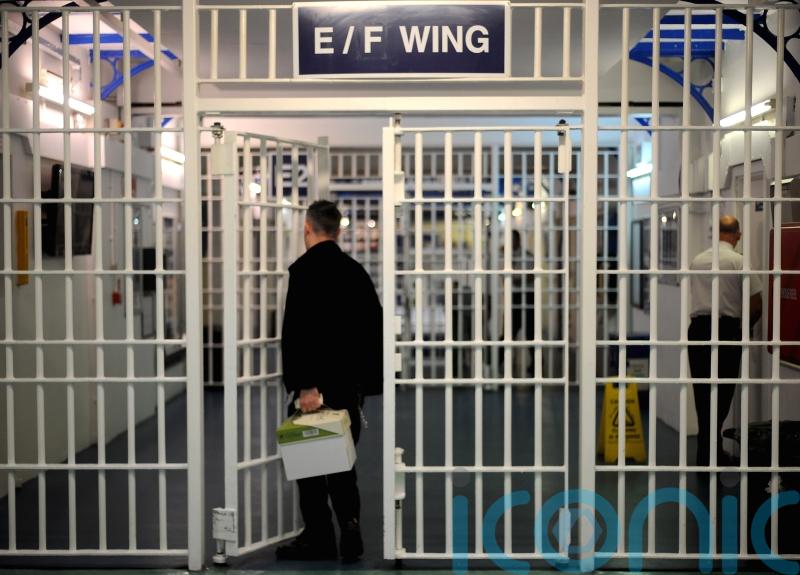 ‘Lives at risk’, warns domestic abuse tsar over Government’s prison recall plans