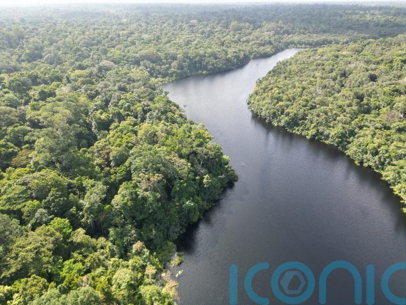 Long-term drought could cause ‘profound change’ in Amazon rainforest – study