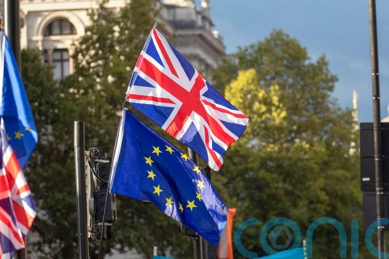Unionists becoming more sceptical about Windsor Framework, report says
