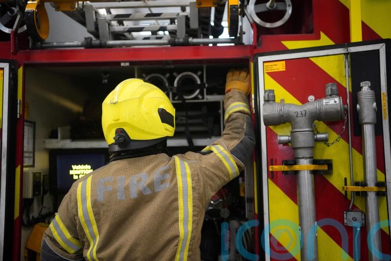Firefighters extinguish wildfire near town