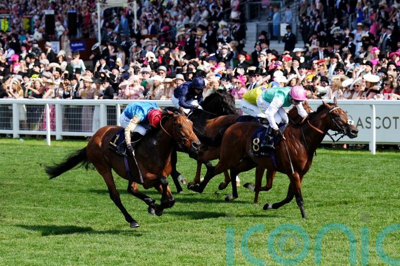 Hopes high for Haatem in ‘hot’ Listed affair at Longchamp