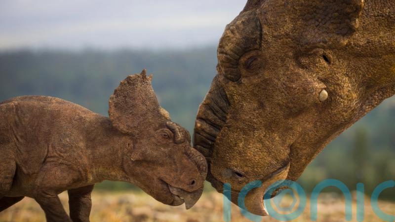 Why dino-tourism is set to be the new wildlife travel craze