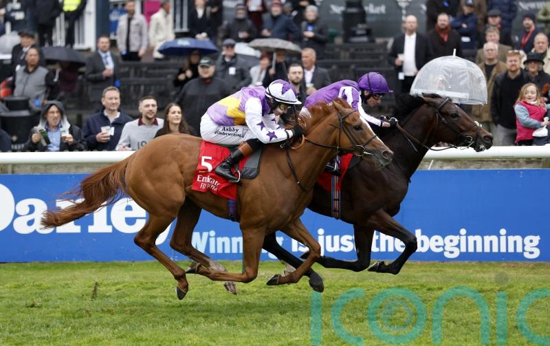 Stanhope Gardens on course for Derby assignment