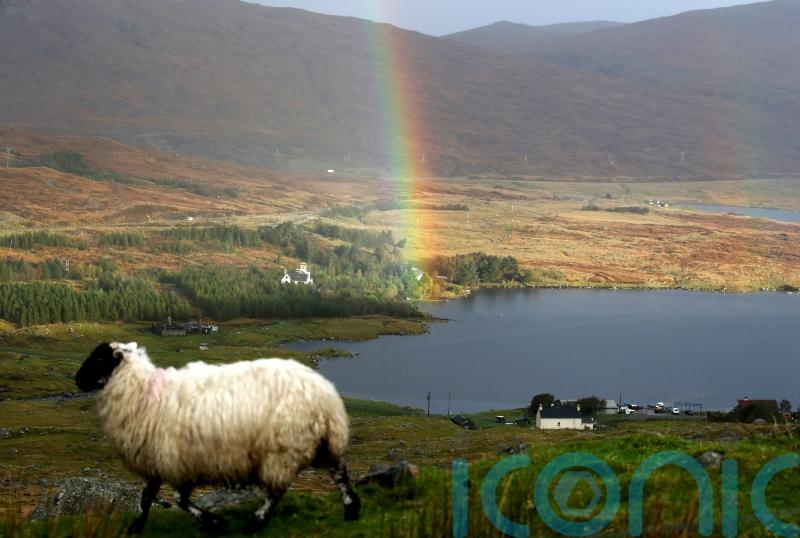 ‘Unique in the UK’ support scheme gives £6m to upland hill farmers