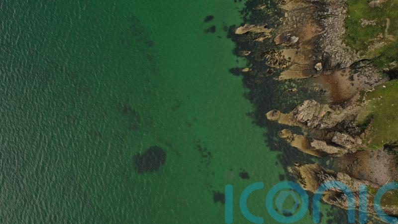 Marine conservation group claims damage to seabeds is a ‘national scandal’