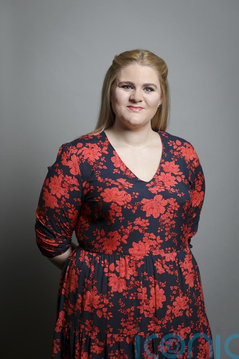 Justice minister &lsquo;terrified&rsquo; by actions of pro-Palestinian activists, court told