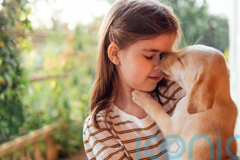 A pet dog could potentially prevent eczema in at-risk children – study