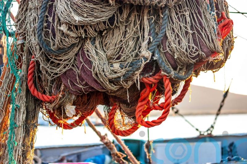 Government facing increasing pressure to ban bottom trawling in protected areas