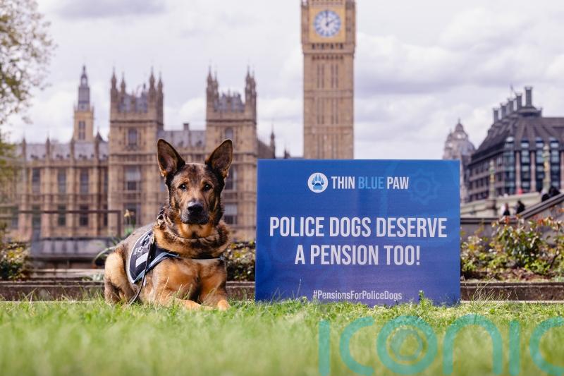 Ministers urged to give pensions to retired police dogs